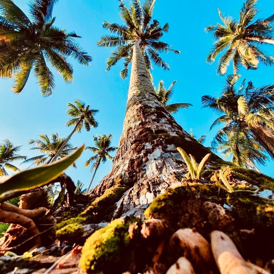 Suan Maprao Ko Kut Resort Exteriör bild