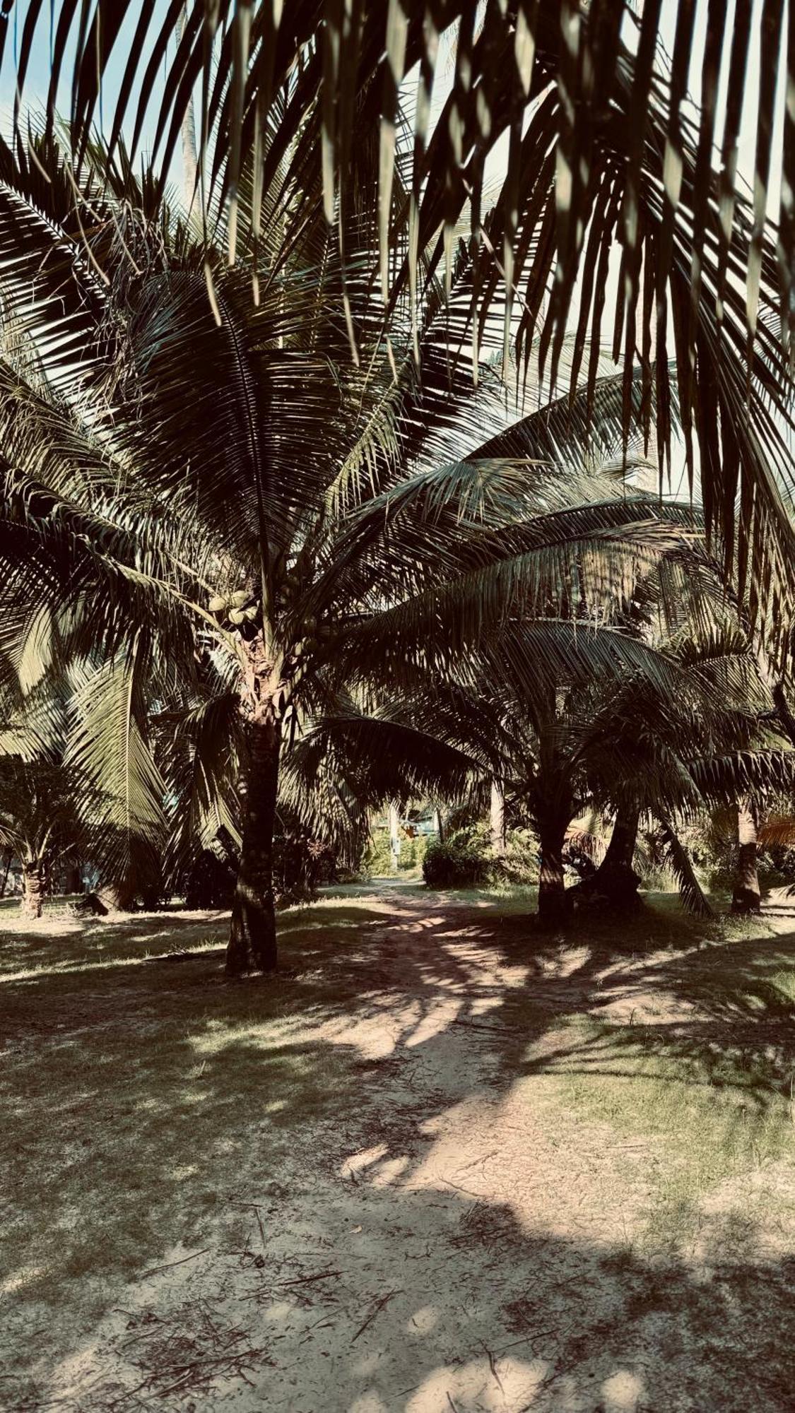 Suan Maprao Ko Kut Resort Exteriör bild